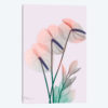 Flamingo Delight III