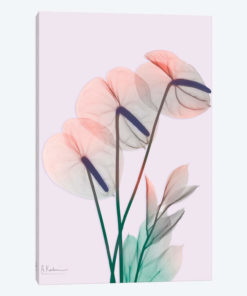 Flamingo Delight III