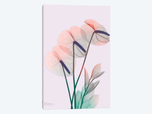 Flamingo Delight III
