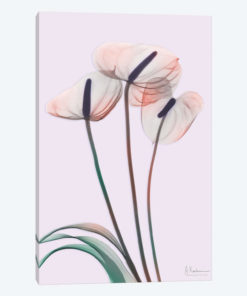 Flamingo Delight IV
