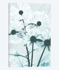 Gerbera Crystalis I