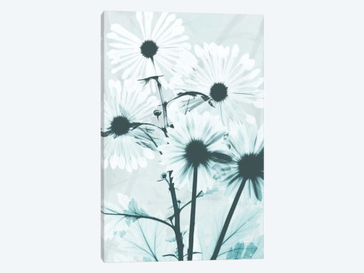 Gerbera Crystalis I