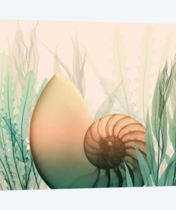 Underwater Dawn I