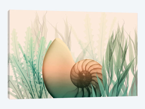 Underwater Dawn I