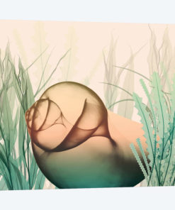 Underwater Dawn II