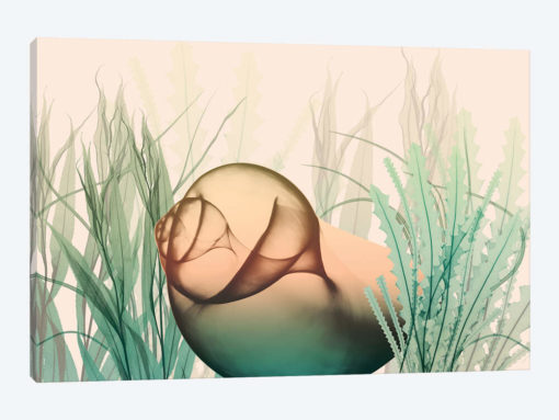 Underwater Dawn II