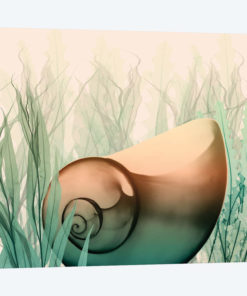 Underwater Dawn IV