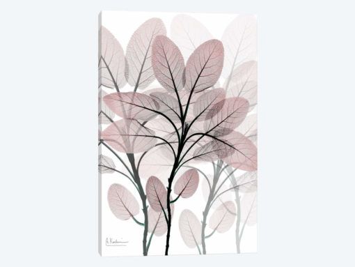 Plentiful Embrace I