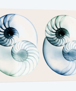 Split Breeze II