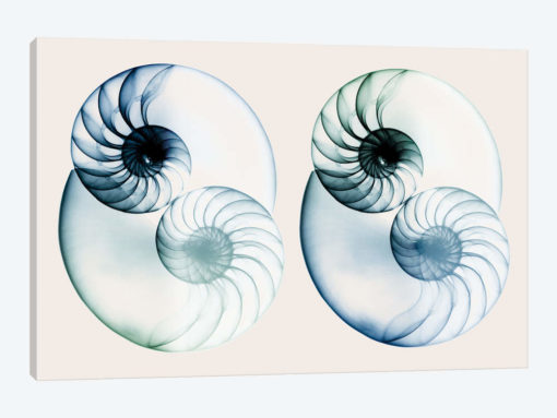 Split Breeze II