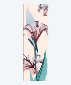 Spring Lily