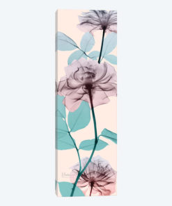 Spring Rose