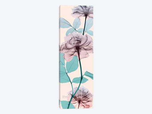 Spring Rose