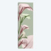 Spring Time Calla Lilies