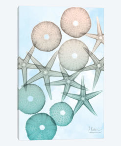 Underwater Sunshine I