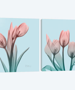 Awakening Tulips Diptych