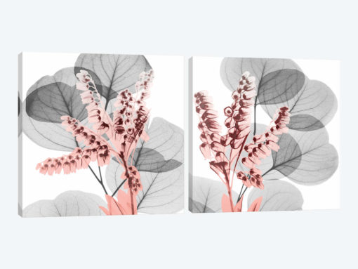 Eucalyptus Blush Diptych