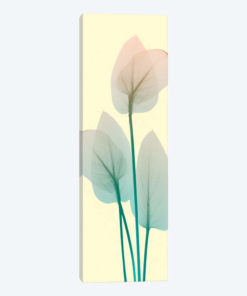 Blissful Bloom I