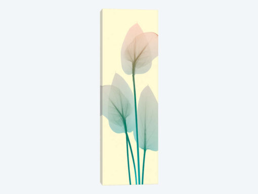 Blissful Bloom I