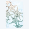 Underwater Sunshine II