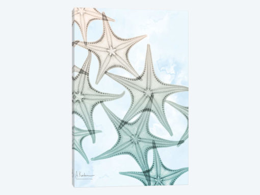 Underwater Sunshine II