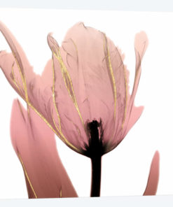 Alizarin Splendor I