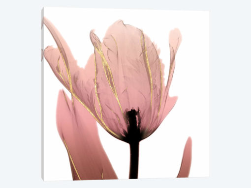 Alizarin Splendor I