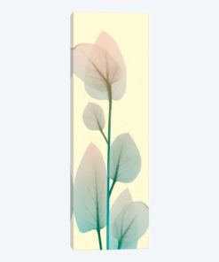 Blissful Bloom II