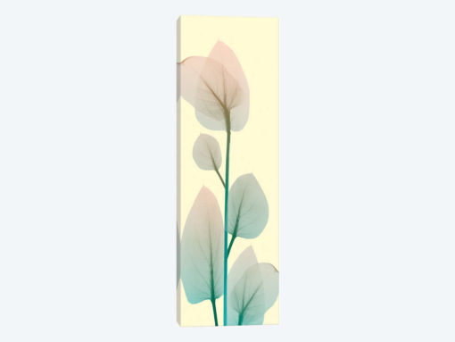 Blissful Bloom II