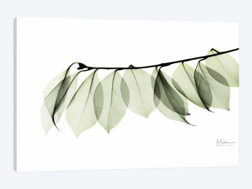 Camelia Leaf In White