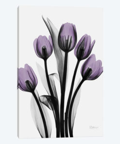 Five Tulips