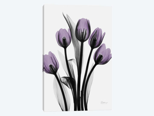 Five Tulips