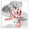Eucalyptus Blush I