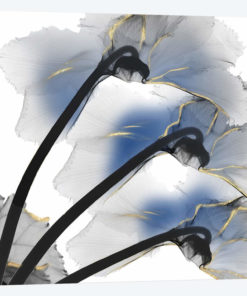 Indigo Luster Cyclamen I