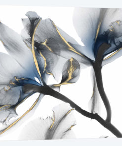 Indigo Luster Cyclamen II