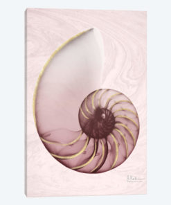 Marble Blush Snail I