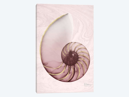 Marble Blush Snail I