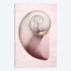 Marble Blush Snail II