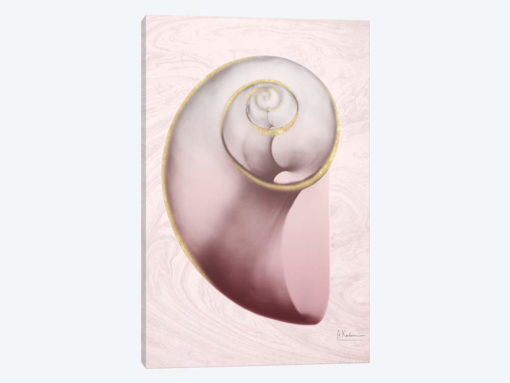 Marble Blush Snail II