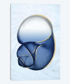 Marble Indigo Snail I