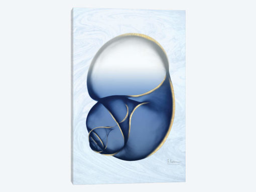 Marble Indigo Snail I
