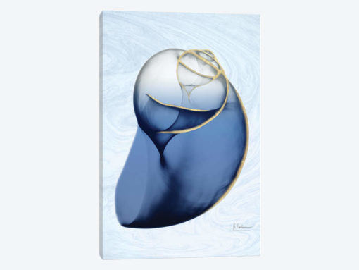 Marble Indigo Snail II