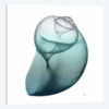 Water Snail III