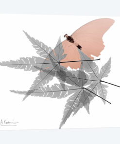 Hidden Flight I