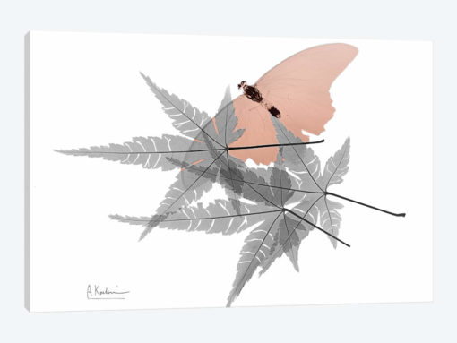 Hidden Flight I