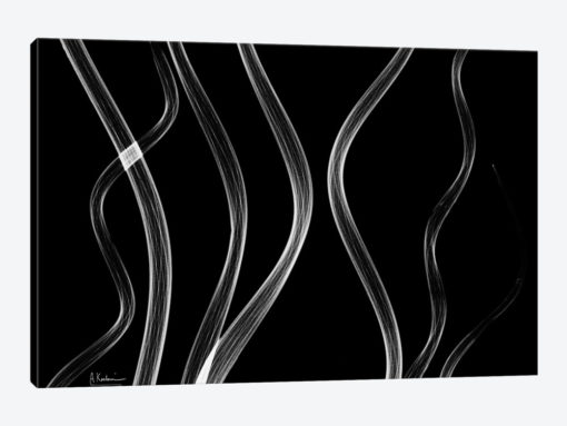 Endless Reach