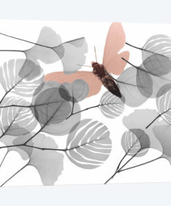Hidden Flight II