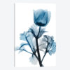 Sapphire Gleam I