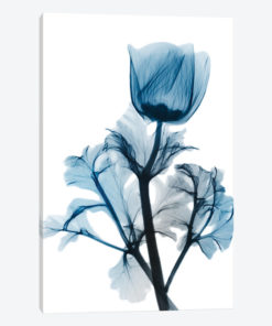 Sapphire Gleam I