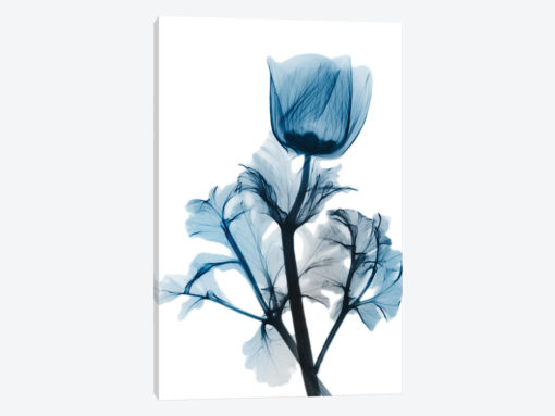 Sapphire Gleam I